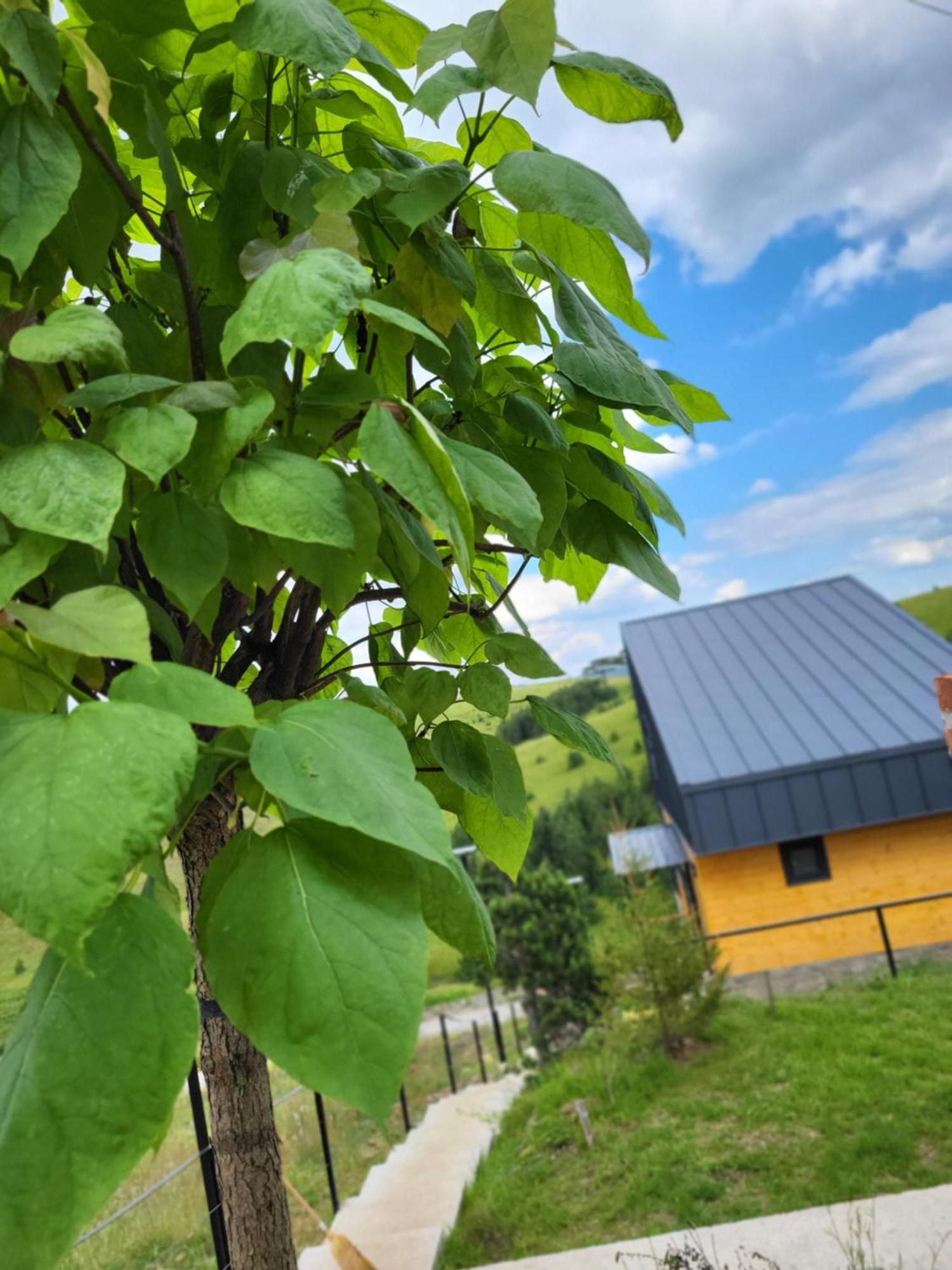 Huut Zlatibor Exterior foto
