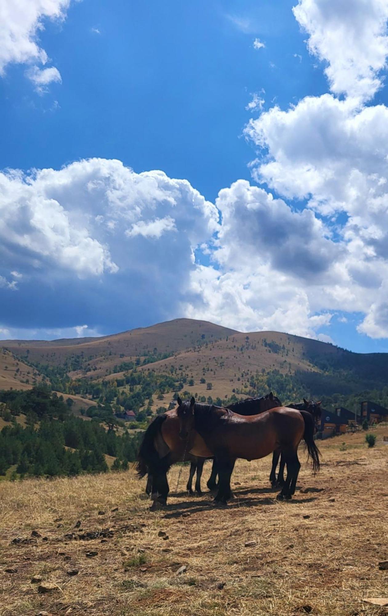 Huut Zlatibor Exterior foto