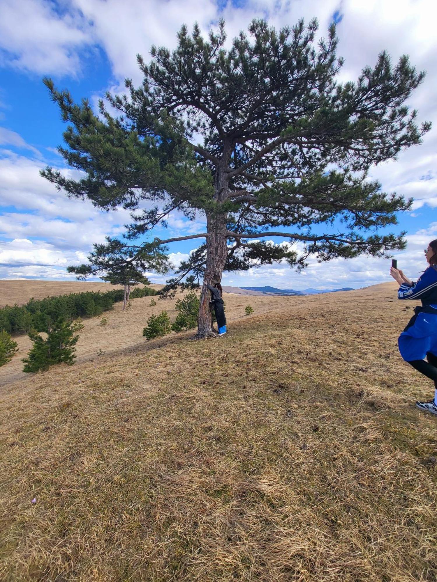 Huut Zlatibor Exterior foto
